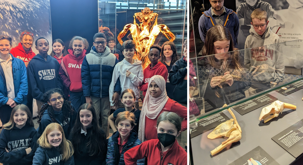 6th Grade Explores Body Systems at Body Worlds RX